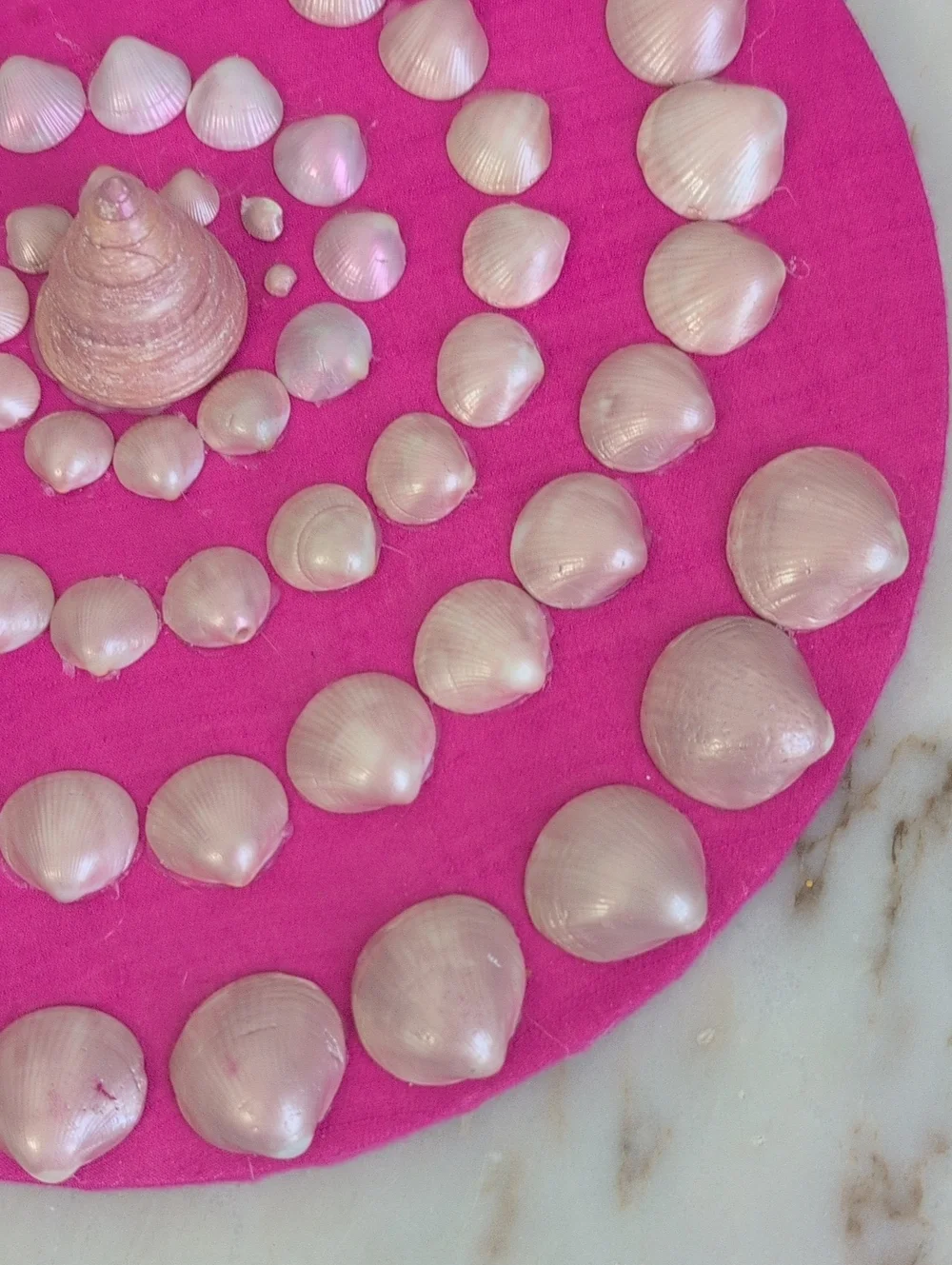Coastal SeaShell Decorative Wall Art 12in Pink Background